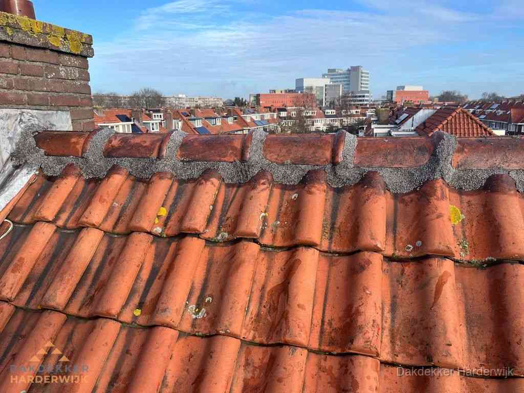 Harderwijk Daken Renoveren Harderwijk Daken Renoveren